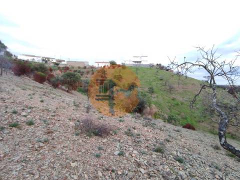 TERRENO COM 9.550 M2 - COM POÇO - NA CARRAPATEIRA EM TAVIRA - ALGARVE