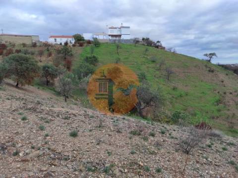 TERRENO COM 9.550 M2 - COM POÇO - NA CARRAPATEIRA EM TAVIRA - ALGARVE