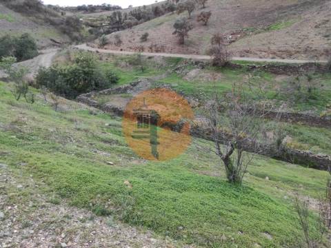 TERRENO COM 9.550 M2 - COM POÇO - NA CARRAPATEIRA EM TAVIRA - ALGARVE