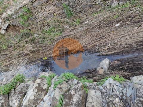 TERRENO COM 9.550 M2 - COM POÇO - NA CARRAPATEIRA EM TAVIRA - ALGARVE