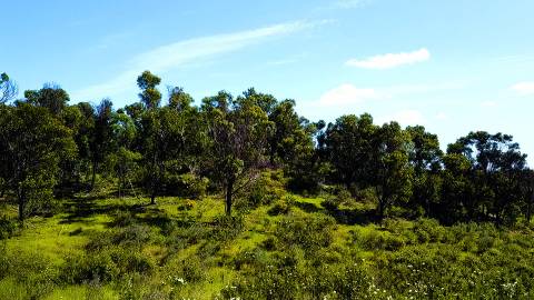 Terreno com Projeto Previamente Aprovado para Hotel Rural de 3 Estrelas - Oportunidade junto à Barragem de Odeleite