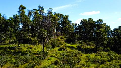Terreno com Projeto Previamente Aprovado para Hotel Rural de 3 Estrelas - Oportunidade junto à Barragem de Odeleite