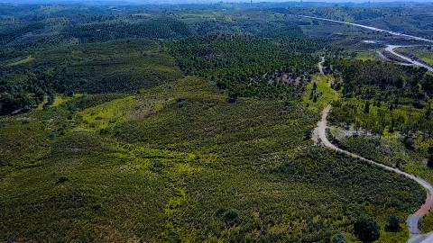 Terreno com Projeto Previamente Aprovado para Hotel Rural de 3 Estrelas - Oportunidade junto à Barragem de Odeleite