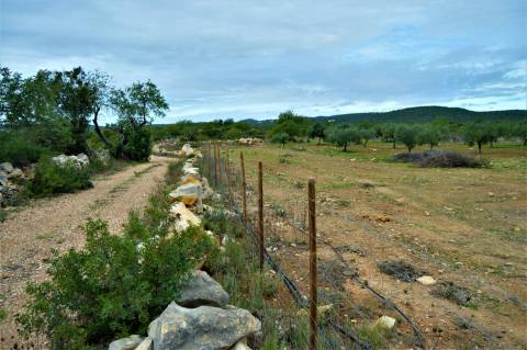 Terreno Rústico de 14020m2 vedado e com Furo