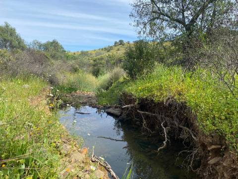 TERRENO COM 57.320 M2 - COM VISTA LAGO - PRÓXIMO AO VALE DO PEREIRO EM ODELEITE - CASTRO MARIM - ALGARVE