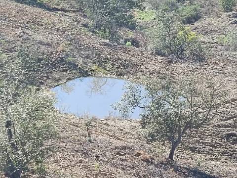 TERRENO COM 57.320 M2 - COM VISTA LAGO - PRÓXIMO AO VALE DO PEREIRO EM ODELEITE - CASTRO MARIM - ALGARVE