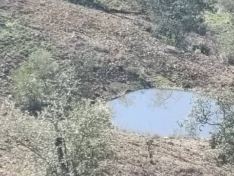 TERRENO COM 57.320 M2 - COM VISTA LAGO - PRÓXIMO AO VALE DO PEREIRO EM ODELEITE - CASTRO MARIM - ALGARVE