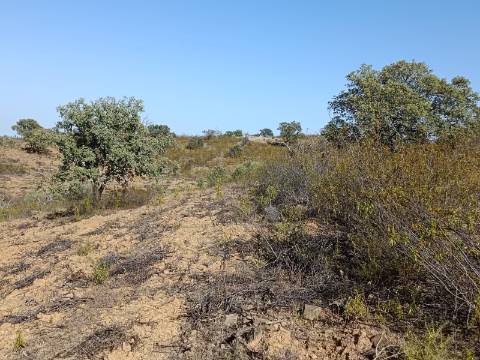 TERRENO COM 57.320 M2 - COM VISTA LAGO - PRÓXIMO AO VALE DO PEREIRO EM ODELEITE - CASTRO MARIM - ALGARVE
