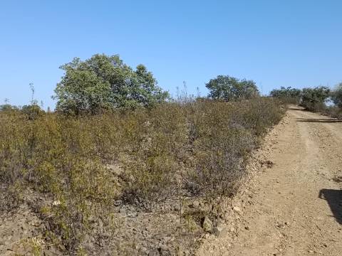 TERRENO COM 57.320 M2 - COM VISTA LAGO - PRÓXIMO AO VALE DO PEREIRO EM ODELEITE - CASTRO MARIM - ALGARVE