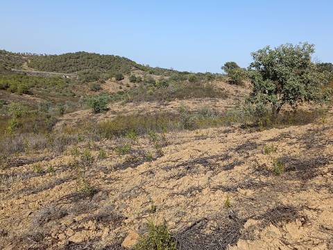 TERRENO COM 57.320 M2 - COM VISTA LAGO - PRÓXIMO AO VALE DO PEREIRO EM ODELEITE - CASTRO MARIM - ALGARVE