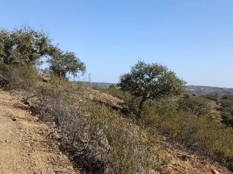 TERRENO COM 57.320 M2 - COM VISTA LAGO - PRÓXIMO AO VALE DO PEREIRO EM ODELEITE - CASTRO MARIM - ALGARVE