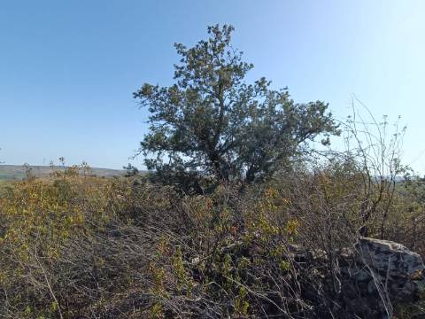 TERRENO COM 57.320 M2 - COM VISTA LAGO - PRÓXIMO AO VALE DO PEREIRO EM ODELEITE - CASTRO MARIM - ALGARVE