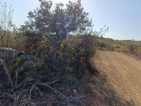 TERRENO COM 57.320 M2 - COM VISTA LAGO - PRÓXIMO AO VALE DO PEREIRO EM ODELEITE - CASTRO MARIM - ALGARVE