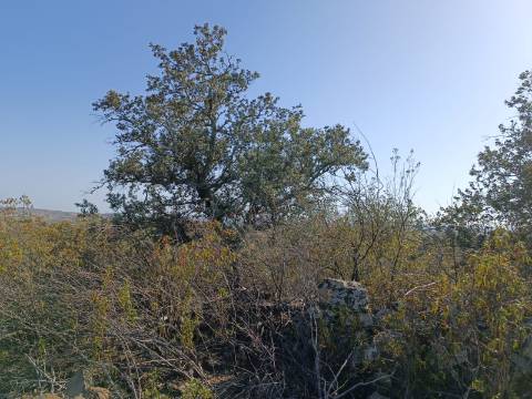 TERRENO COM 57.320 M2 - COM VISTA LAGO - PRÓXIMO AO VALE DO PEREIRO EM ODELEITE - CASTRO MARIM - ALGARVE
