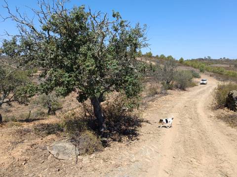 TERRENO COM 57.320 M2 - COM VISTA LAGO - PRÓXIMO AO VALE DO PEREIRO EM ODELEITE - CASTRO MARIM - ALGARVE