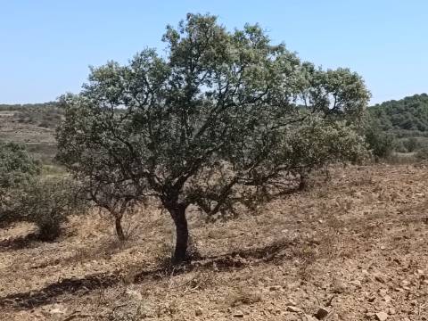 TERRENO COM 57.320 M2 - COM VISTA LAGO - PRÓXIMO AO VALE DO PEREIRO EM ODELEITE - CASTRO MARIM - ALGARVE