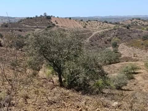 TERRENO COM 57.320 M2 - COM VISTA LAGO - PRÓXIMO AO VALE DO PEREIRO EM ODELEITE - CASTRO MARIM - ALGARVE