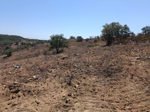 TERRENO COM 57.320 M2 - COM VISTA LAGO - PRÓXIMO AO VALE DO PEREIRO EM ODELEITE - CASTRO MARIM - ALGARVE