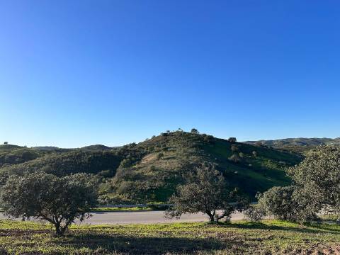 Terreno Rústico com 13.480m2 no Malhão - Castro Marim