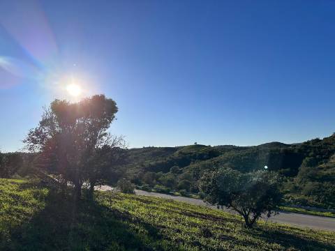 Terreno Rústico com 13.480m2 no Malhão - Castro Marim