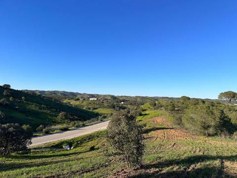 Terreno Rústico com 13.480m2 no Malhão - Castro Marim