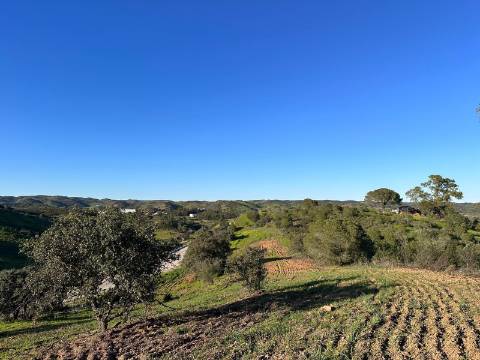 Terreno Rústico com 13.480m2 no Malhão - Castro Marim