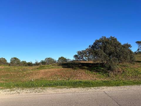 Terreno Rústico com 13.480m2 no Malhão - Castro Marim