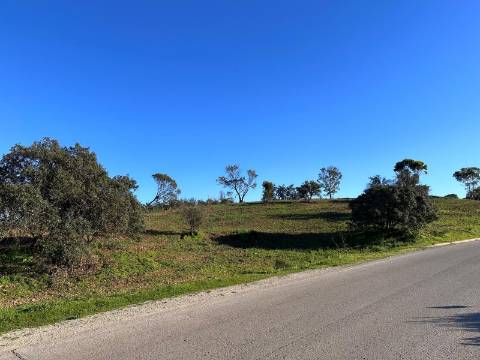 Terreno Rústico com 13.480m2 no Malhão - Castro Marim