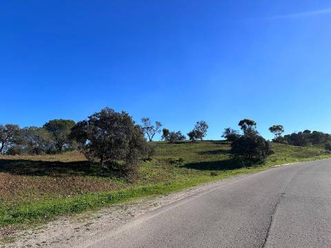 Terreno Rústico com 13.480m2 no Malhão - Castro Marim