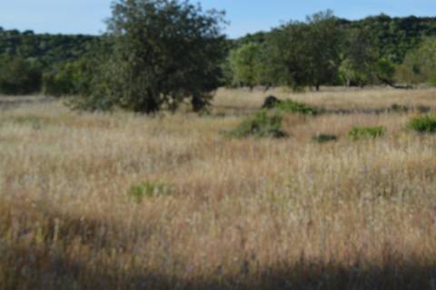 Terreno Rústico Marco Santa Catarina da Fonte do Bispo