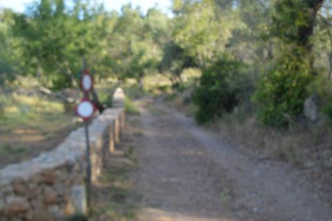 Terreno Rústico Marco Santa Catarina da Fonte do Bispo