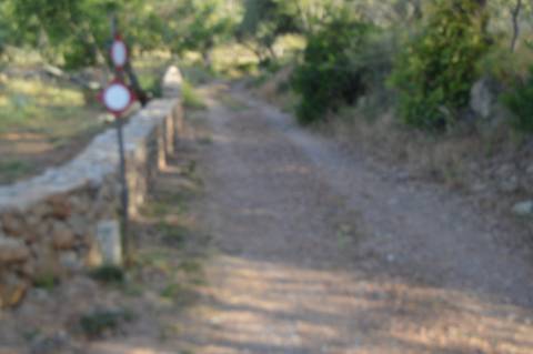 Terreno Rústico Marco Santa Catarina da Fonte do Bispo