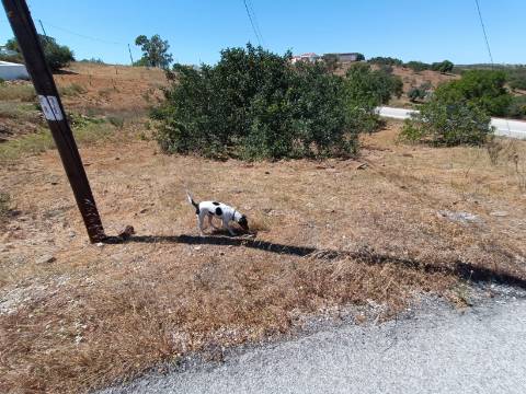 MORADIA ISOLADA - COM TERRENO - NA SENTINELA EM CASTRO MARIM - ALGARVE