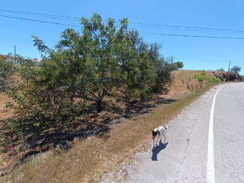 MORADIA ISOLADA - COM TERRENO - NA SENTINELA EM CASTRO MARIM - ALGARVE
