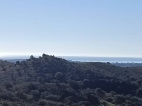 TERRENO COM 12.720 M2 - VISTA MAR - COM ARVORES - REGA - BOMBA E PAINEIS SOLARES - CAMPEIROS - CASTRO MARIM - ALGARVE