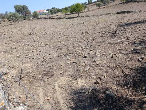 TERRENO COM 440 M2 JUNTO A ALDEIA DA CASA BRANCA EM BALURCOS - ALCOUTIM