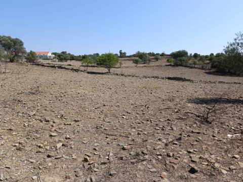 TERRENO COM 440 M2 JUNTO A ALDEIA DA CASA BRANCA EM BALURCOS - ALCOUTIM