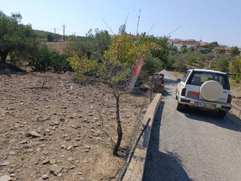 TERRENO COM 440 M2 JUNTO A ALDEIA DA CASA BRANCA EM BALURCOS - ALCOUTIM