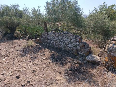 TERRENO COM 440 M2 JUNTO A ALDEIA DA CASA BRANCA EM BALURCOS - ALCOUTIM