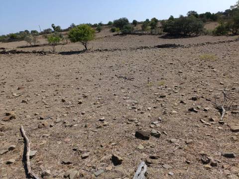 TERRENO COM 440 M2 JUNTO A ALDEIA DA CASA BRANCA EM BALURCOS - ALCOUTIM