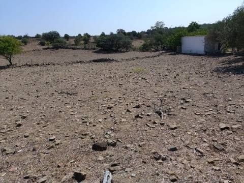 TERRENO COM 440 M2 JUNTO A ALDEIA DA CASA BRANCA EM BALURCOS - ALCOUTIM