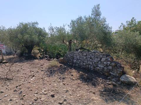 TERRENO COM 440 M2 JUNTO A ALDEIA DA CASA BRANCA EM BALURCOS - ALCOUTIM