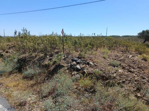 TERRENO COM 34.700 M2 - POSSIBILIDADES DE CONSTRUIR UM ARMAZEM - PRÓXIMO A CHOÇA QUEIMADA EM CASTRO MARIM - ALGARVE