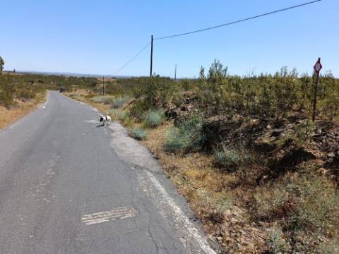 TERRENO COM 34.700 M2 - POSSIBILIDADES DE CONSTRUIR UM ARMAZEM - PRÓXIMO A CHOÇA QUEIMADA EM CASTRO MARIM - ALGARVE