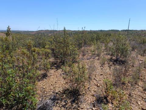 TERRENO COM 34.700 M2 - POSSIBILIDADES DE CONSTRUIR UM ARMAZEM - PRÓXIMO A CHOÇA QUEIMADA EM CASTRO MARIM - ALGARVE