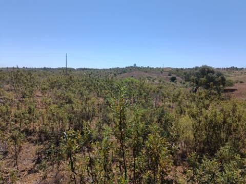 TERRENO COM 34.700 M2 - POSSIBILIDADES DE CONSTRUIR UM ARMAZEM - PRÓXIMO A CHOÇA QUEIMADA EM CASTRO MARIM - ALGARVE