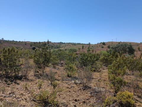 TERRENO COM 34.700 M2 - POSSIBILIDADES DE CONSTRUIR UM ARMAZEM - PRÓXIMO A CHOÇA QUEIMADA EM CASTRO MARIM - ALGARVE