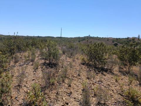 TERRENO COM 34.700 M2 - POSSIBILIDADES DE CONSTRUIR UM ARMAZEM - PRÓXIMO A CHOÇA QUEIMADA EM CASTRO MARIM - ALGARVE
