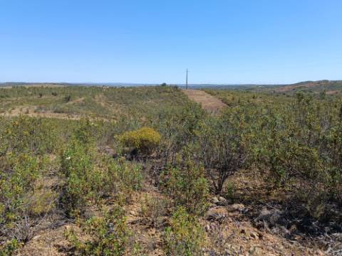 TERRENO COM 34.700 M2 - POSSIBILIDADES DE CONSTRUIR UM ARMAZEM - PRÓXIMO A CHOÇA QUEIMADA EM CASTRO MARIM - ALGARVE