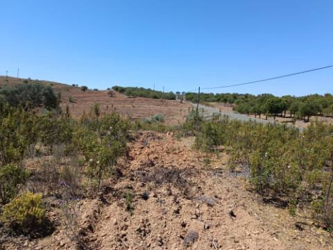 TERRENO COM 34.700 M2 - POSSIBILIDADES DE CONSTRUIR UM ARMAZEM - PRÓXIMO A CHOÇA QUEIMADA EM CASTRO MARIM - ALGARVE